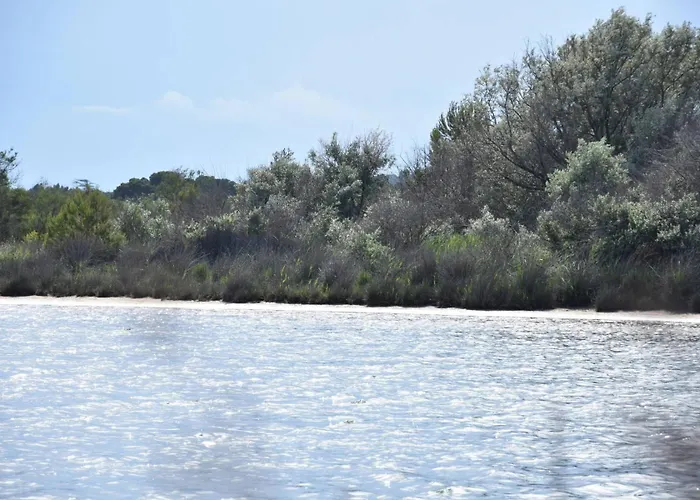 Maison Mezzanine Gruissan Les Ayguades Ay090-003 וילה *